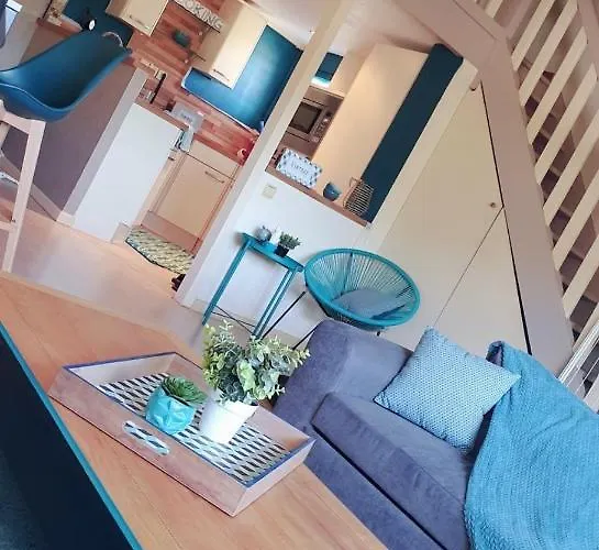 T3 50m2 Duplex Centre Апартаменты *